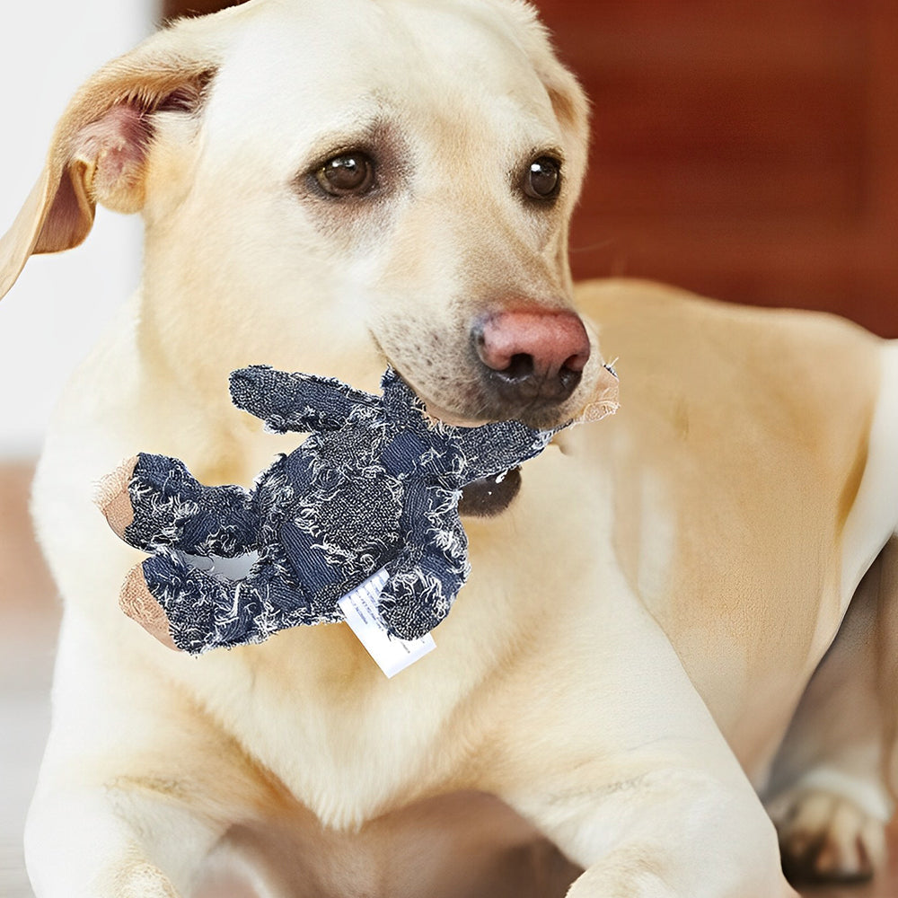 Dog Toy Durable Plush Squeaker Cotton Filled