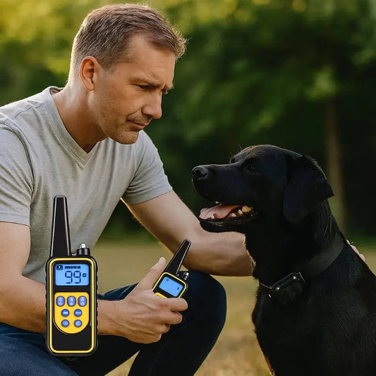 Dog Training Collar Remote Control 800m Range IP67 Waterproof