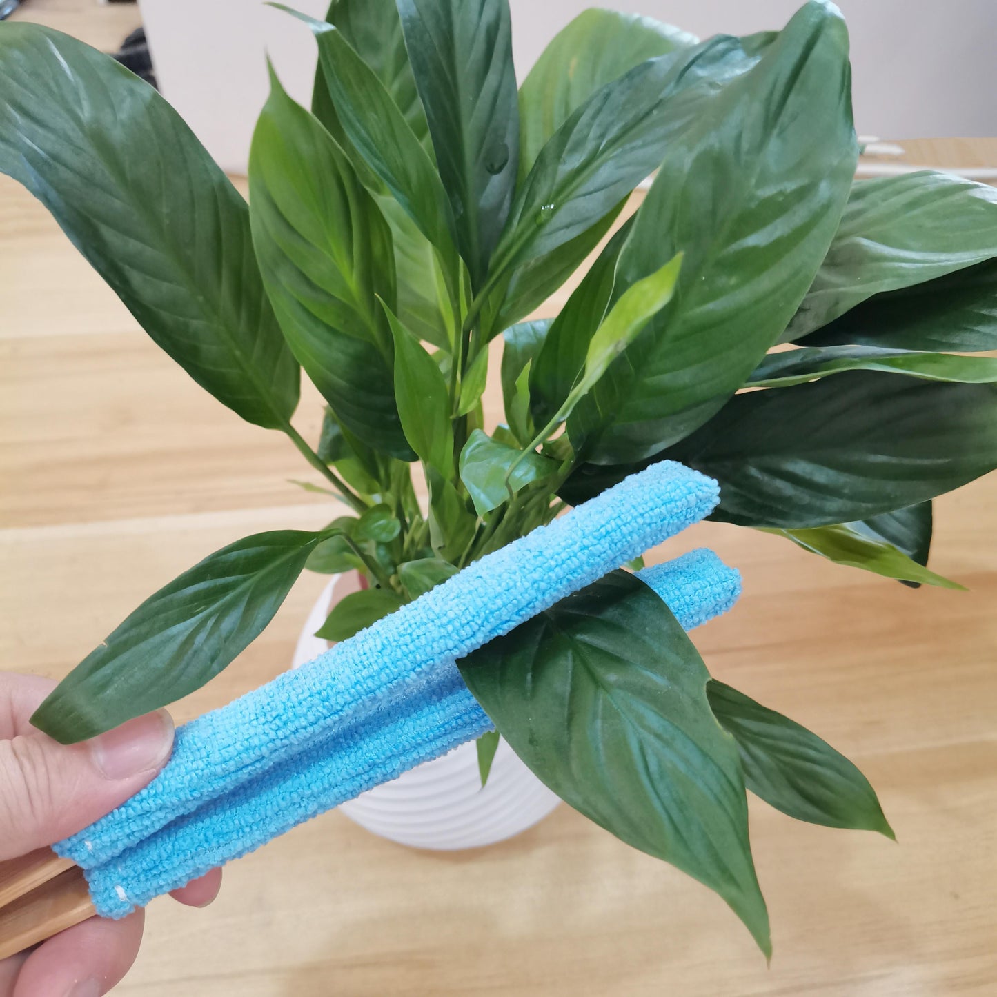 Dust Brush Soft Microfiber Ergonomic Wooden Handle