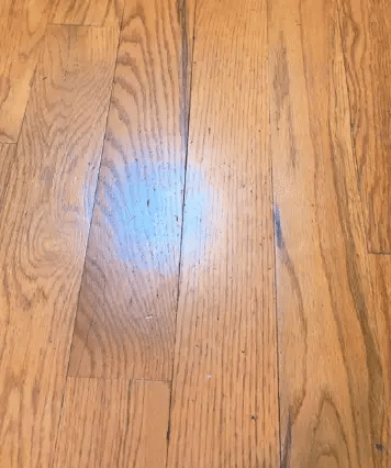Floor Cleaner & Polish High-Gloss Streak-Free