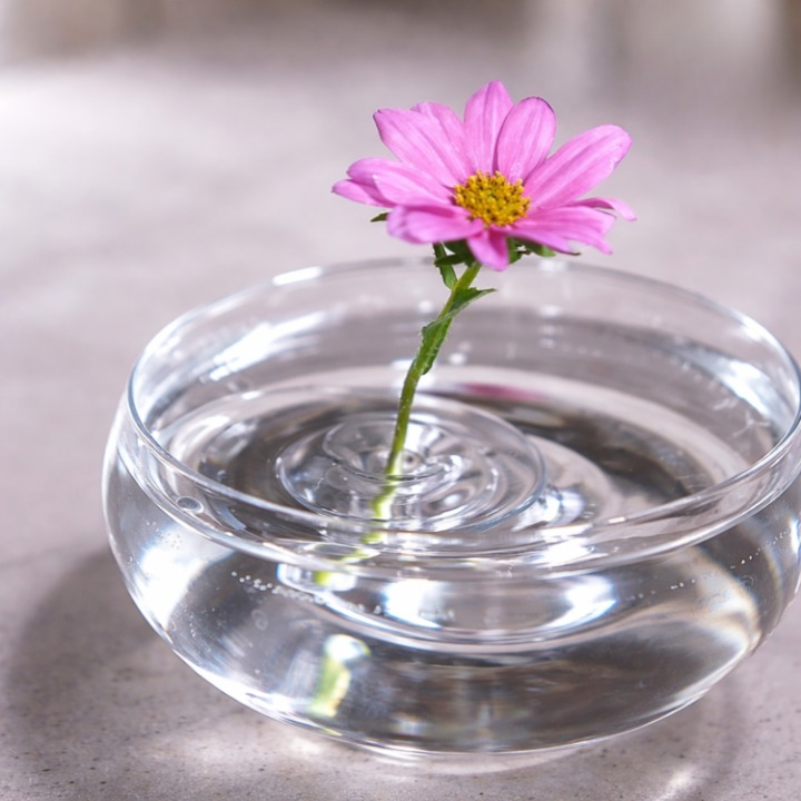 Flower Floats Crystal Clear Textured Edge Set of 10