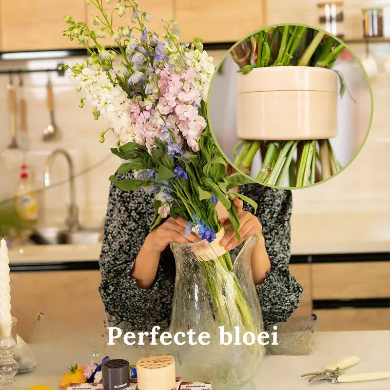 Flower Stem Holder Set of 2 Perforated Round Grid