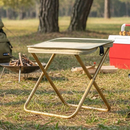 Folding Camping Chair Ultra-Portable Waterproof Seat & Carry Bag