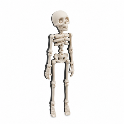 Fridge Magnet Posable Skeleton & Secure Magnetic Hold