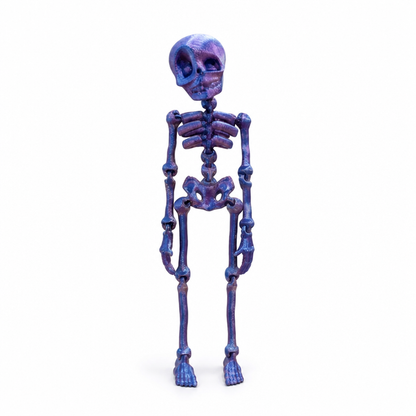 Fridge Magnet Posable Skeleton & Secure Magnetic Hold