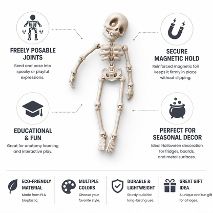 Fridge Magnet Posable Skeleton & Secure Magnetic Hold