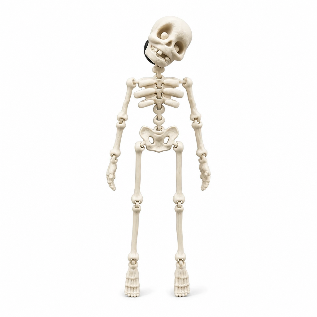 Fridge Magnet Posable Skeleton & Secure Magnetic Hold