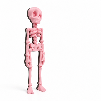 Fridge Magnet Posable Skeleton & Secure Magnetic Hold