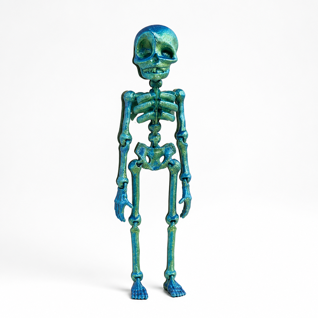 Fridge Magnet Posable Skeleton & Secure Magnetic Hold