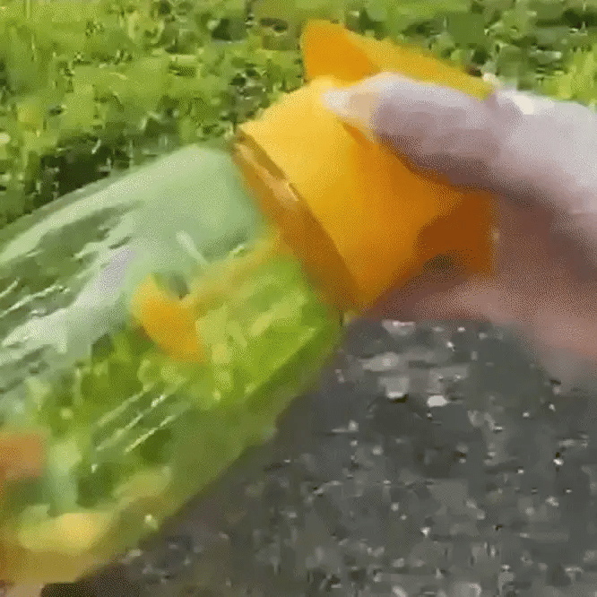 Hanging Fly Trap Fruit Fly & Wasp Attractant