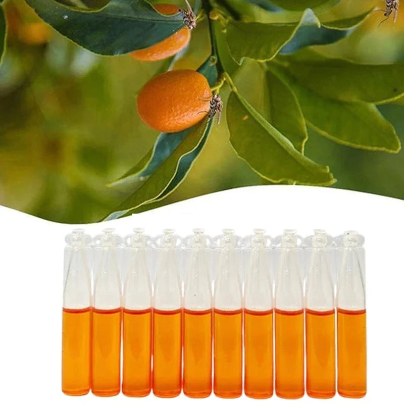 Hanging Fly Trap Fruit Fly & Wasp Attractant