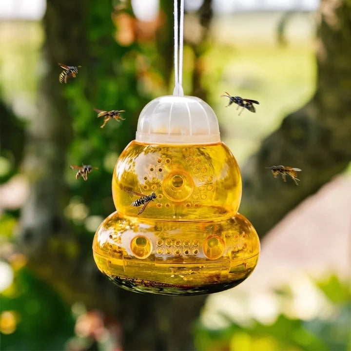 Hanging Wasp Trap Chemical-Free & Reusable One-Way Entry