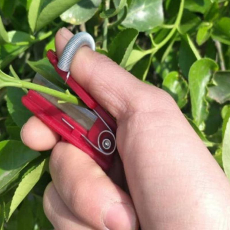 Harvest Shears Stainless Steel Gentle Harvesting