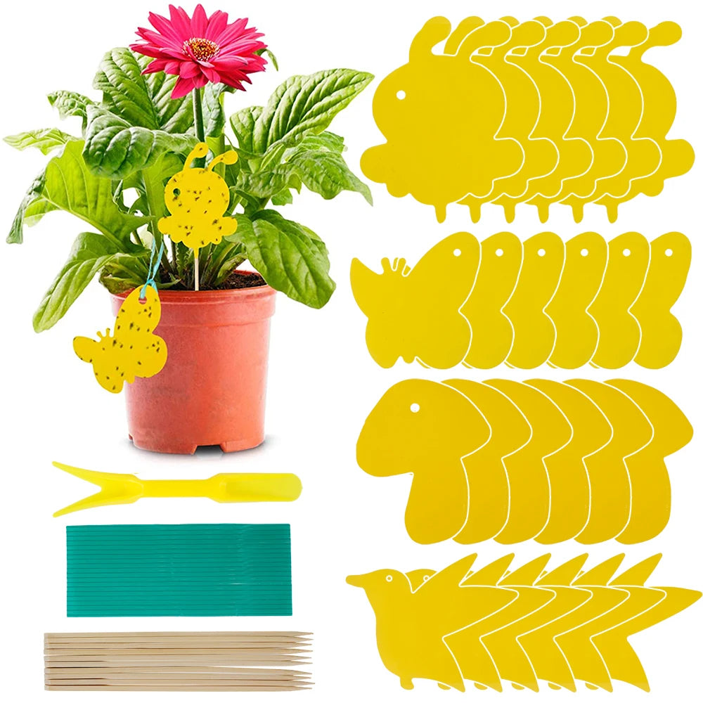 Houseplant Sticky Traps Non-Toxic Decorative Set of 59