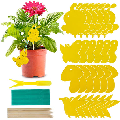 Houseplant Sticky Traps Non-Toxic Decorative Set of 59