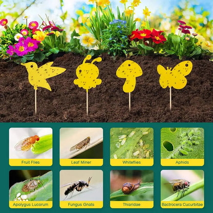 Houseplant Sticky Traps Non-Toxic Decorative Set of 59