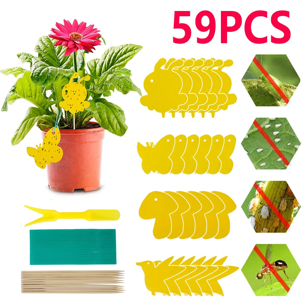 Houseplant Sticky Traps Non-Toxic Decorative Set of 59