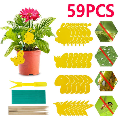 Houseplant Sticky Traps Non-Toxic Decorative Set of 59