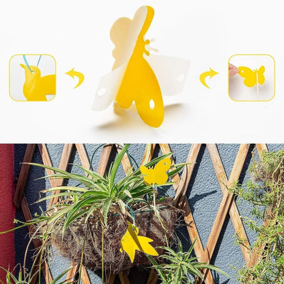 Houseplant Sticky Traps Non-Toxic Decorative Set of 59