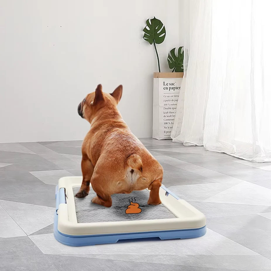 Indoor Dog Toilet Non-Slip Mat & Removable Tray