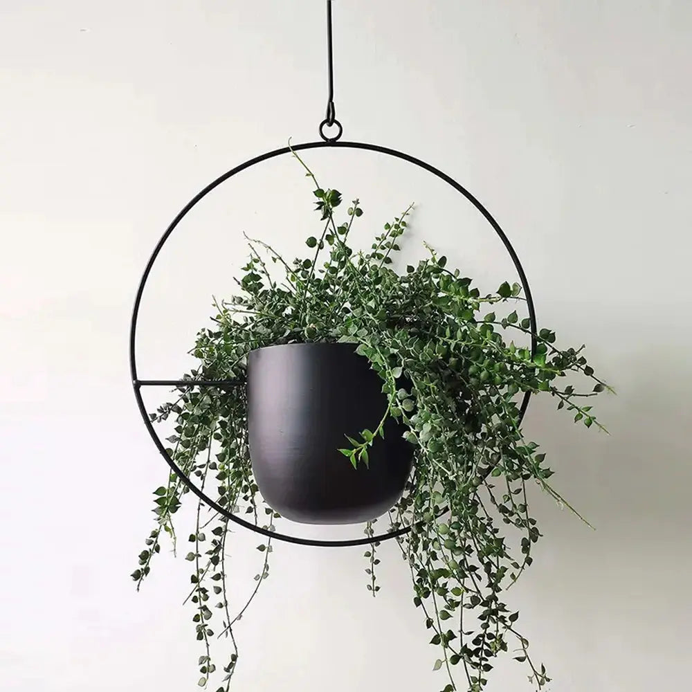 Indoor Hanging Planter Iron Space-Saving 20-25cm