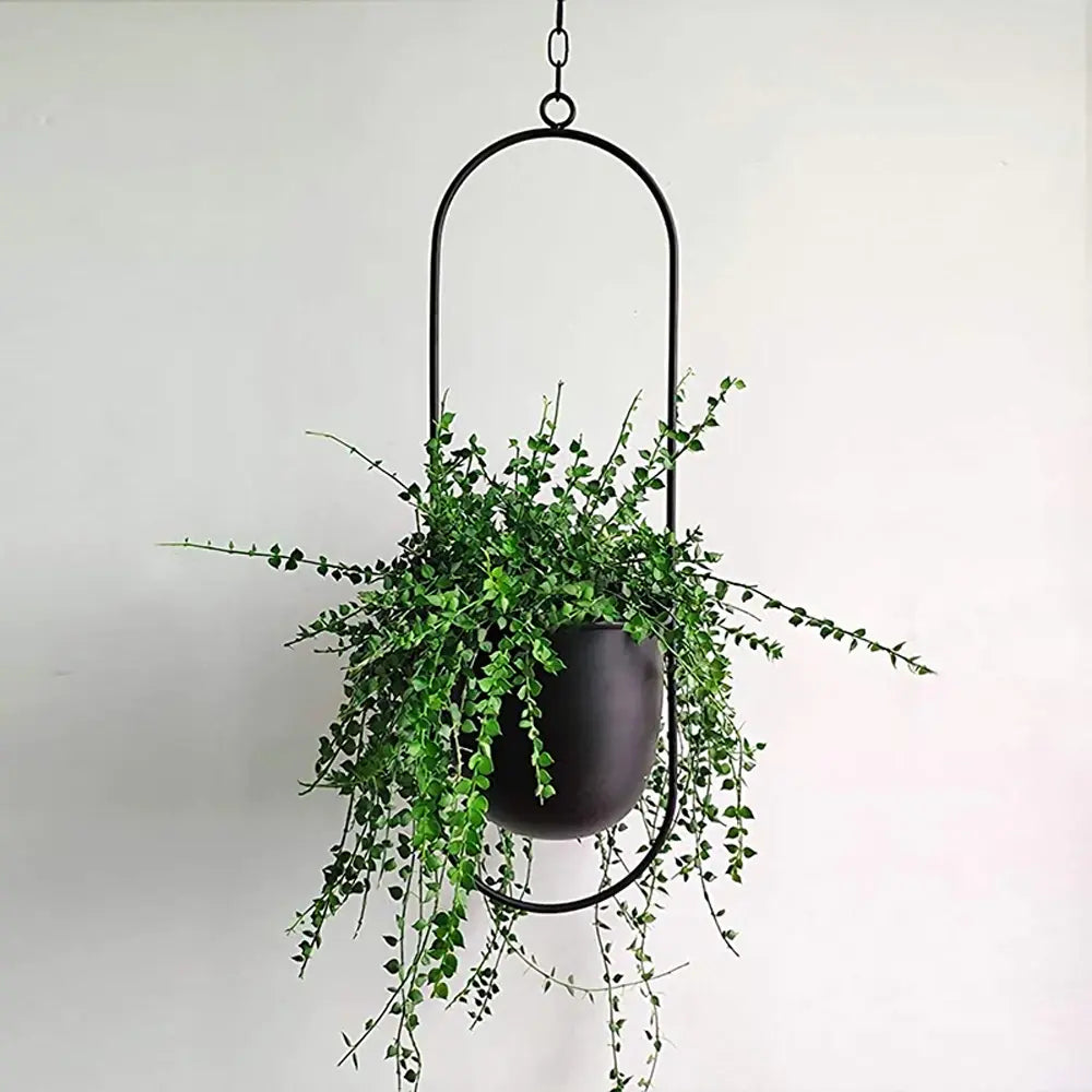 Indoor Hanging Planter Iron Space-Saving 20-25cm