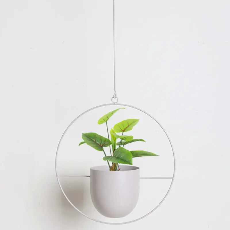 Indoor Hanging Planter Iron Space-Saving 20-25cm