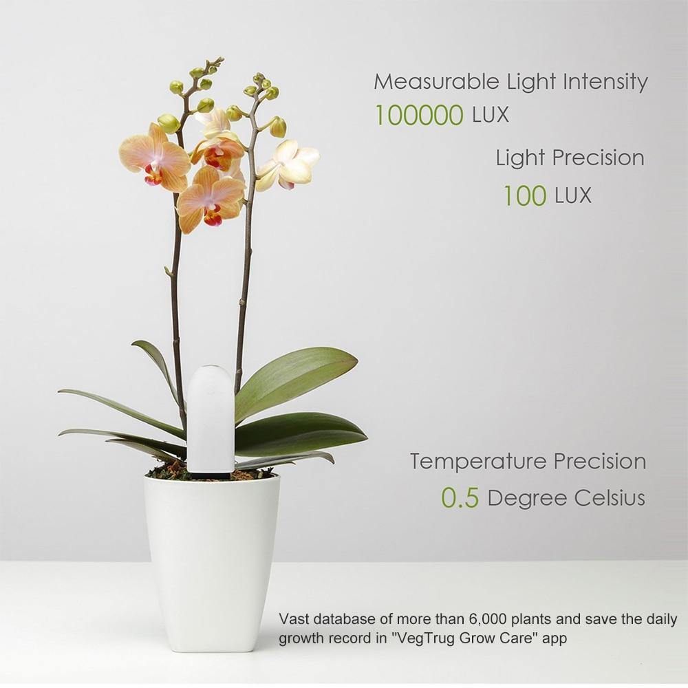 Indoor Plant Sensor 4-In-1 Bluetooth App & LED