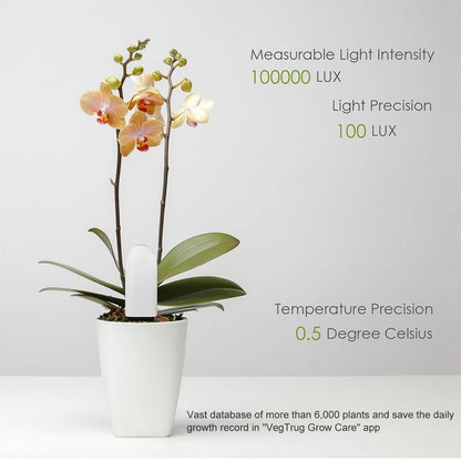 Indoor Plant Sensor 4-In-1 Bluetooth App & LED