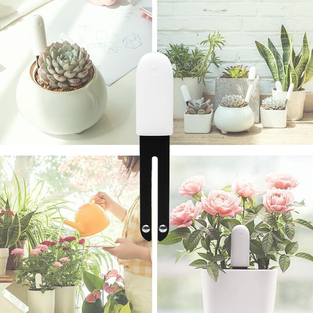 Indoor Plant Sensor 4-In-1 Bluetooth App & LED