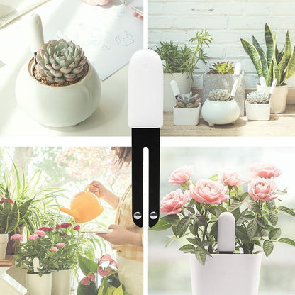 Indoor Plant Sensor 4-In-1 Bluetooth App & LED