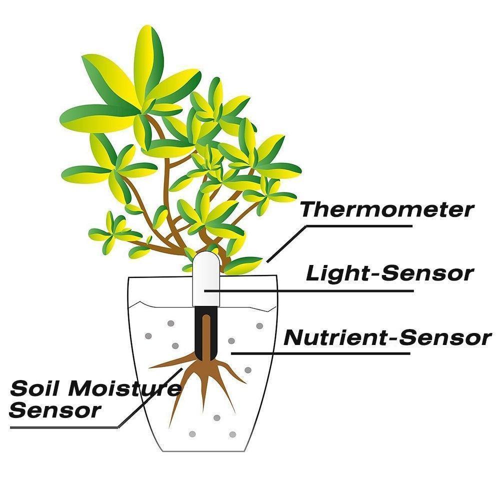 Indoor Plant Sensor 4-In-1 Bluetooth App & LED