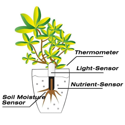 Indoor Plant Sensor 4-In-1 Bluetooth App & LED