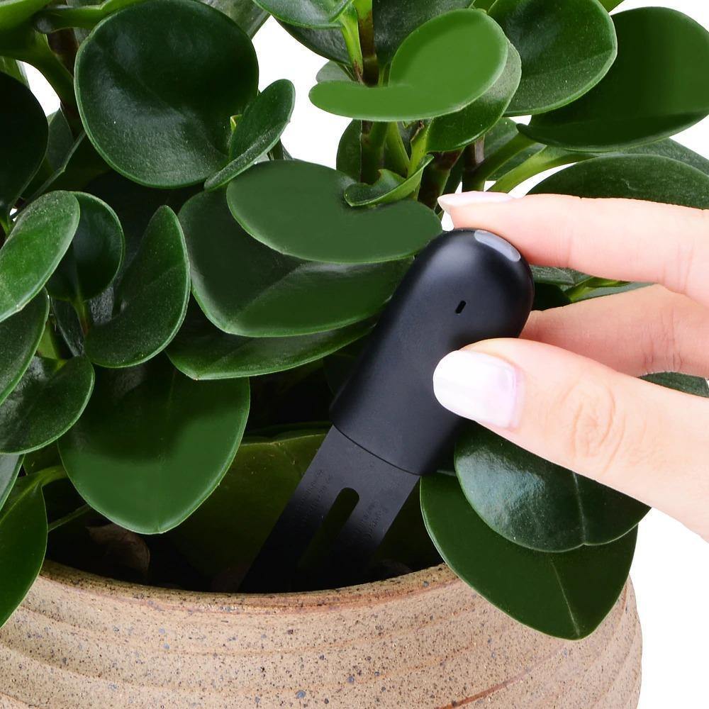 Indoor Plant Sensor 4-In-1 Bluetooth App & LED