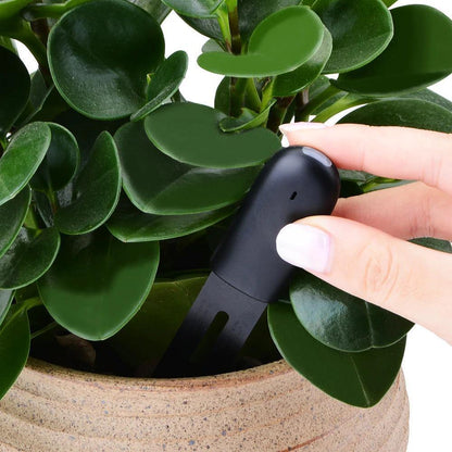 Indoor Plant Sensor 4-In-1 Bluetooth App & LED