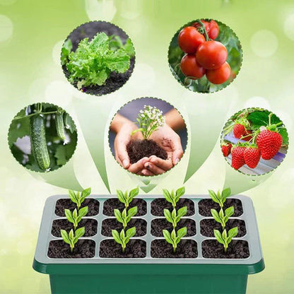 Indoor Seed Starter Kit Integrated LED & Ventilated Dome