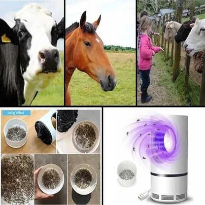 Insect Trap UV Light & Silent Fan USB-Powered