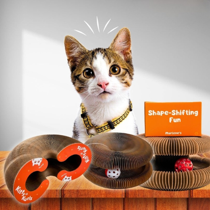 Interactive Cat Toy Random-Motion Scratch-Resistant Non-Toxic