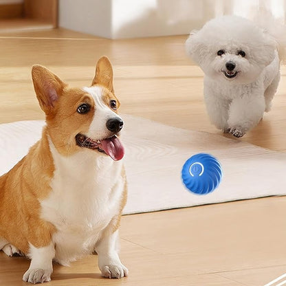 Interactive Dog Ball Sensor-Activated 60-Min Playtime