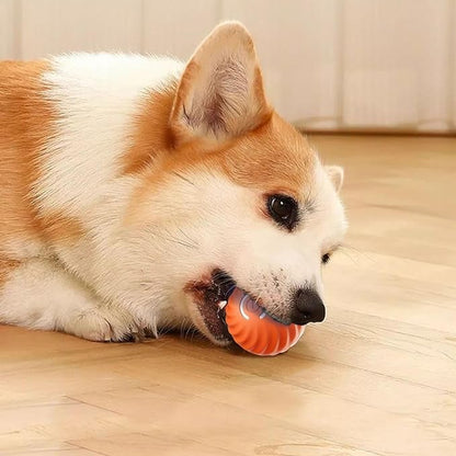 Interactive Dog Ball Sensor-Activated 60-Min Playtime