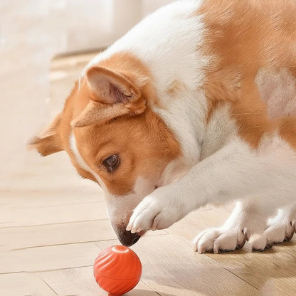 Interactive Dog Ball Sensor-Activated 60-Min Playtime