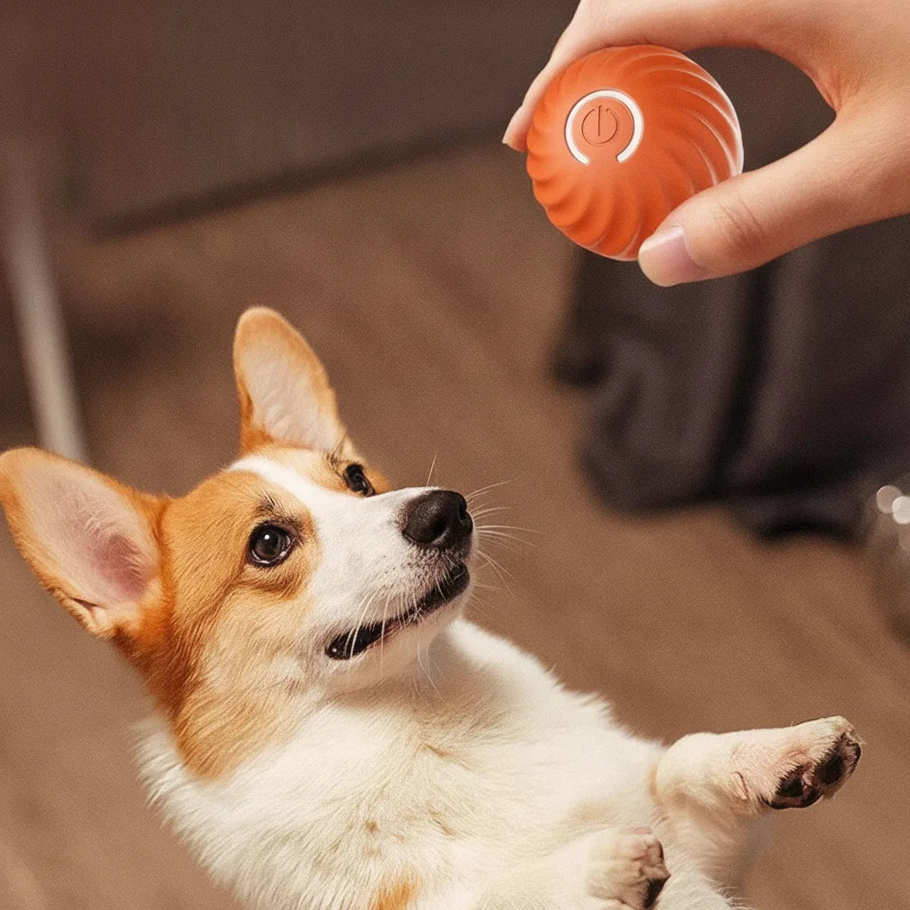Interactive Dog Ball Sensor-Activated 60-Min Playtime