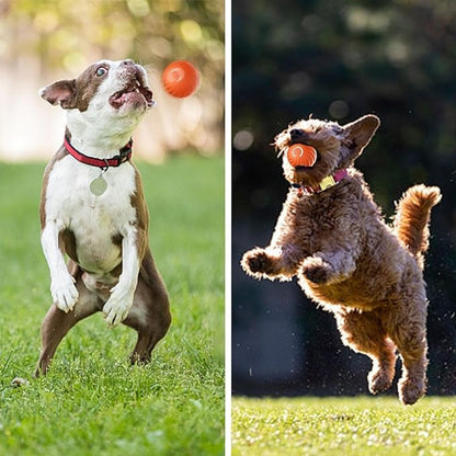 Interactive Dog Ball Sensor-Activated 60-Min Playtime