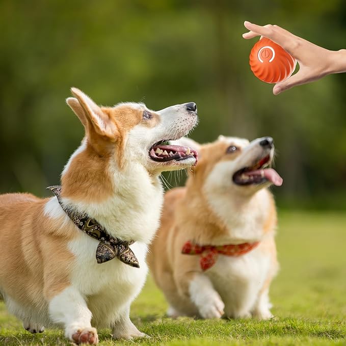 Interactive Dog Ball Sensor-Activated 60-Min Playtime