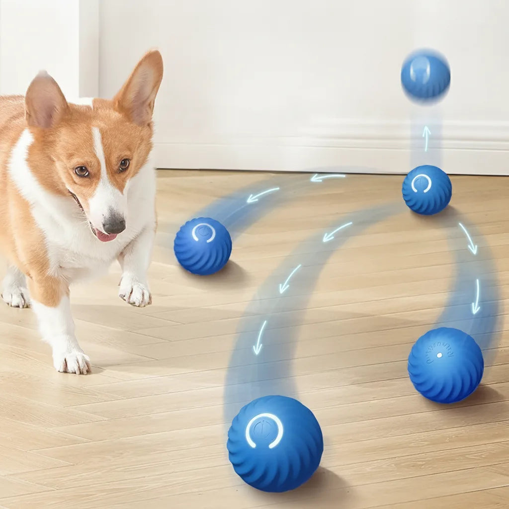 Interactive Dog Ball Sensor-Activated 60-Min Playtime
