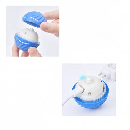 Interactive Dog Ball Sensor-Activated 60-Min Playtime