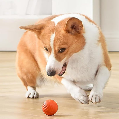 Interactive Dog Ball Sensor-Activated 60-Min Playtime
