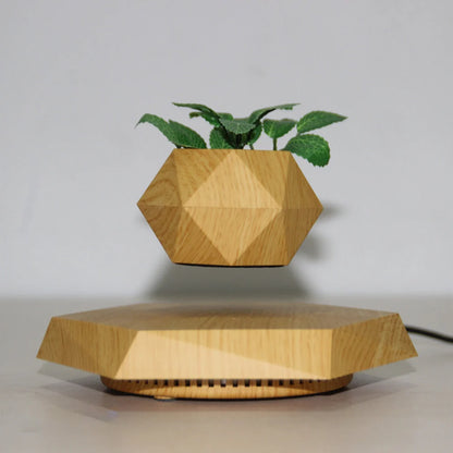 Levitating Planter Magnetic Levitation & 360 Degree Rotation