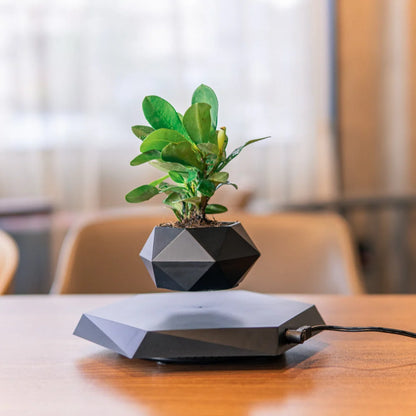 Levitating Planter Magnetic Levitation & 360 Degree Rotation