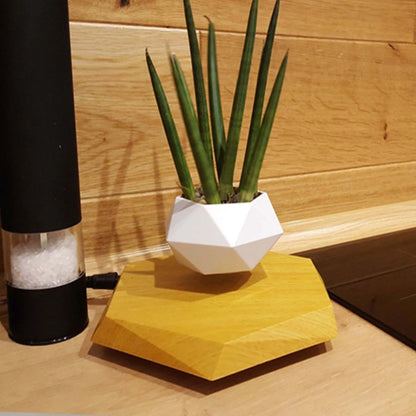 Levitating Planter Magnetic Levitation & 360 Degree Rotation